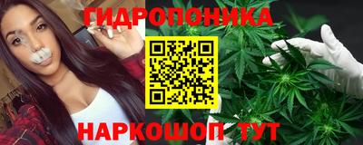 каннабис Будённовск