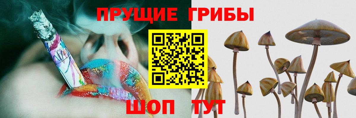 Псилоцибиновые грибы Magic Shrooms  Галлюциногенные грибы Psilocybe  Вход с VPN  Тында 